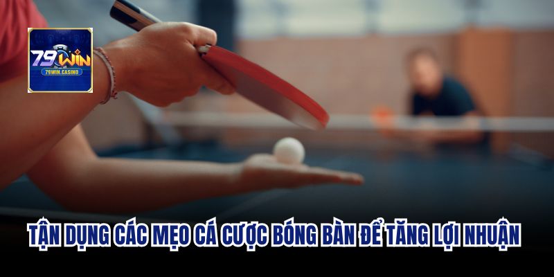 Tận dụng các mẹo cá cược bóng bàn để tăng lợi nhuận